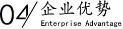 企業優勢/Enterprise Advantage